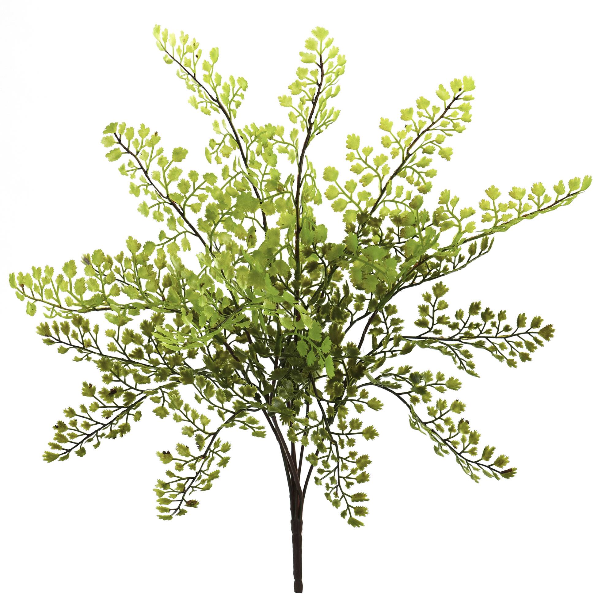 Maiden Hair Fern Spray, 12ct.